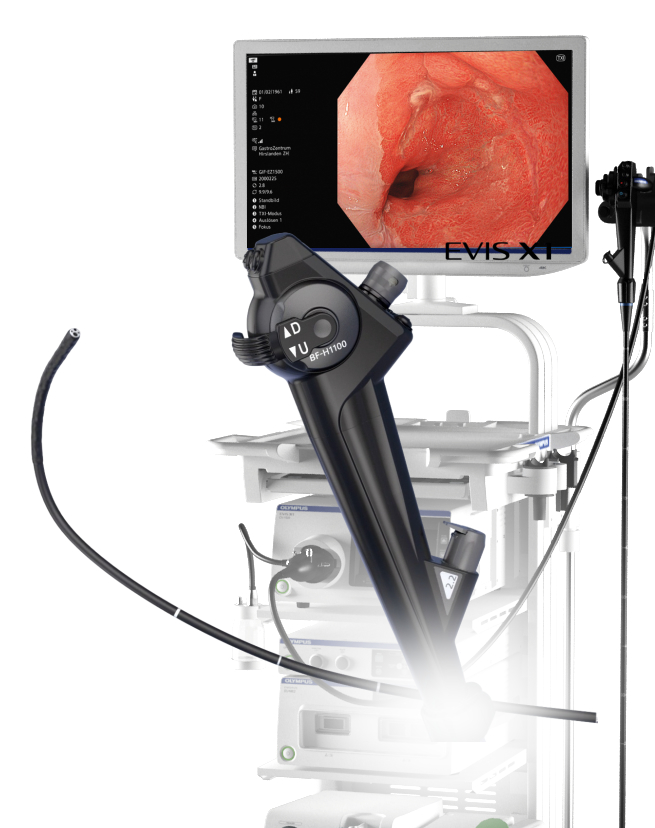 BF-H1100